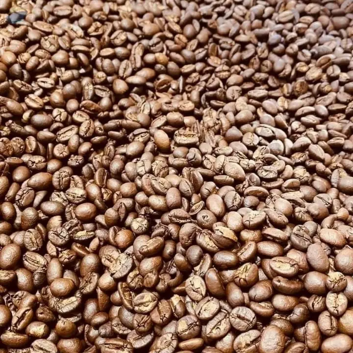 Green  Arabica Coffee Beans (Guatemala )