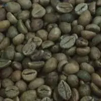 Green Unroasted Arabica Coffee Beans ( India )