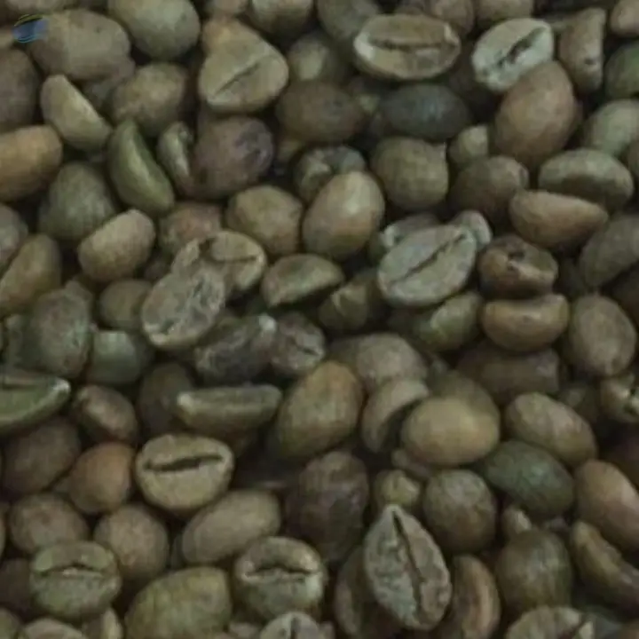 Green Unroasted Arabica Coffee Beans ( India )