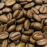 Green Unroasted Arabica Coffee Beans ( Jamaica )