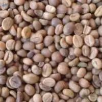 Green Unroasted Arabica Coffee Beans ( Peru )