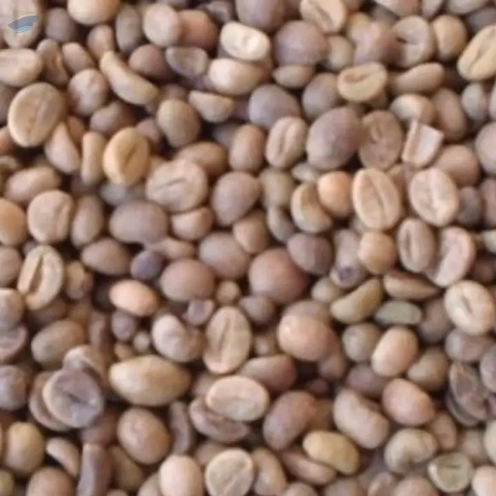 Green Unroasted Arabica Coffee Beans ( Peru )