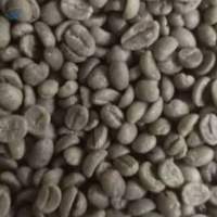 Green  Arabica Coffee Beans ( Ethiopia )