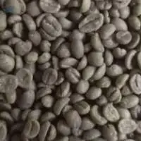 Green  Arabica Coffee Beans ( Ethiopia )