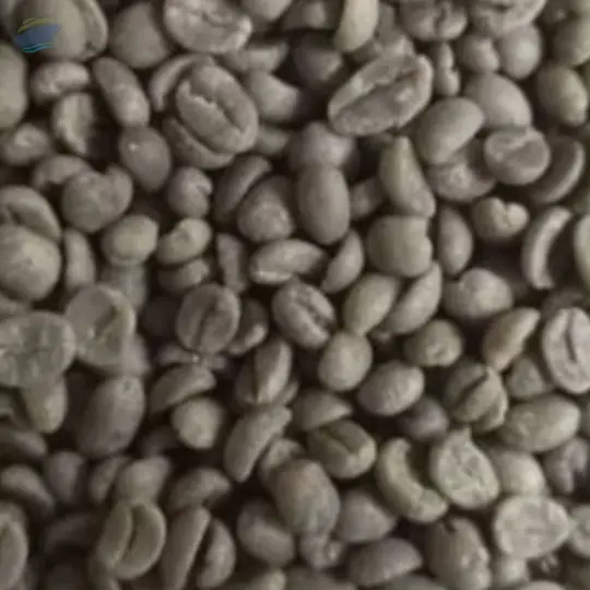 Green  Arabica Coffee Beans ( Ethiopia )