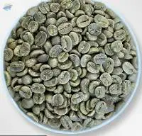 Green Unroasted Arabica Coffee Beans ( Vietnam )
