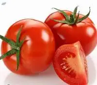 Fresh Tomato
