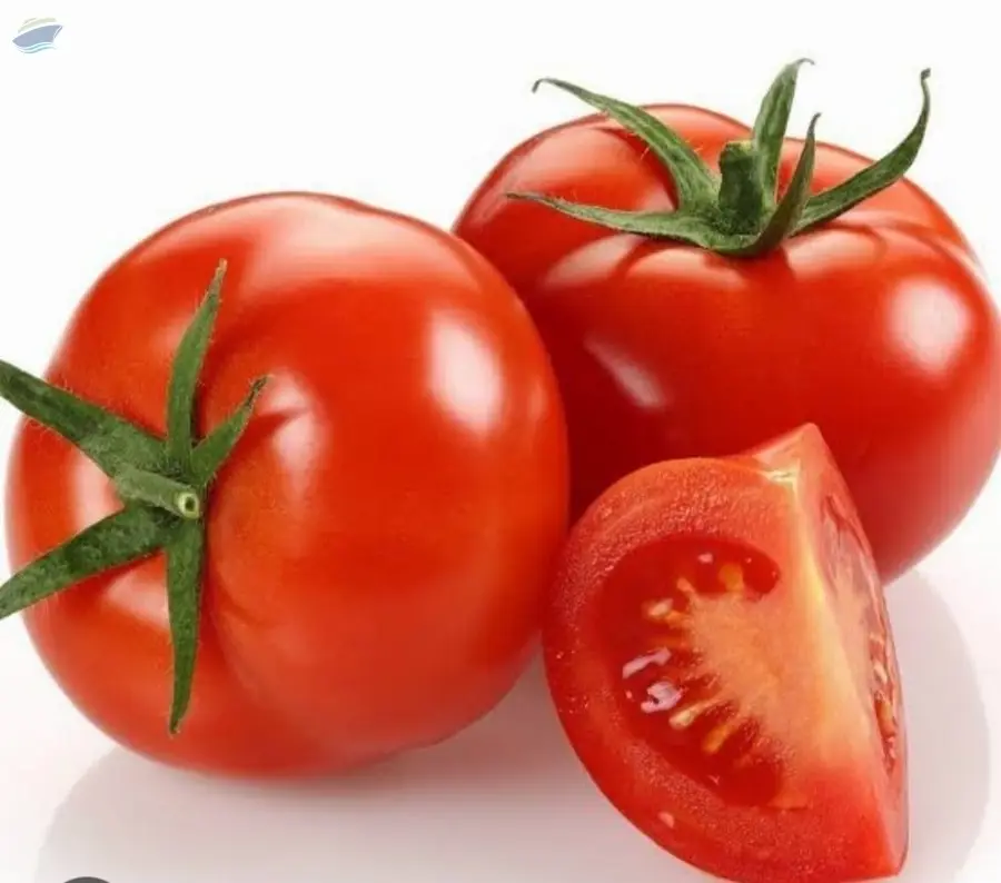 Fresh Tomato