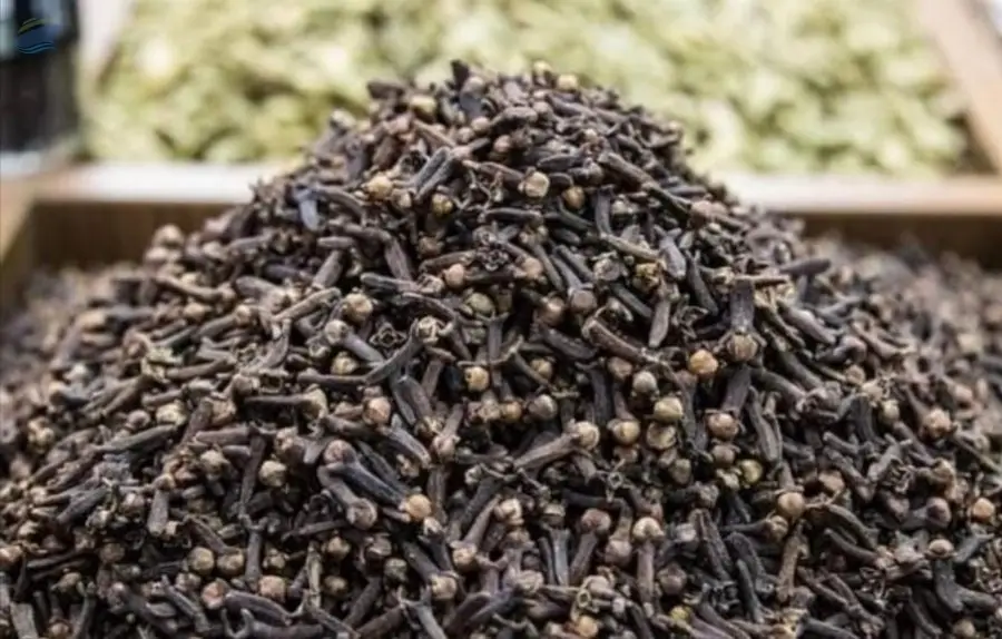 Cloves