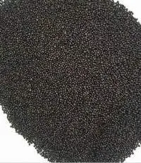 Mustard Seeds