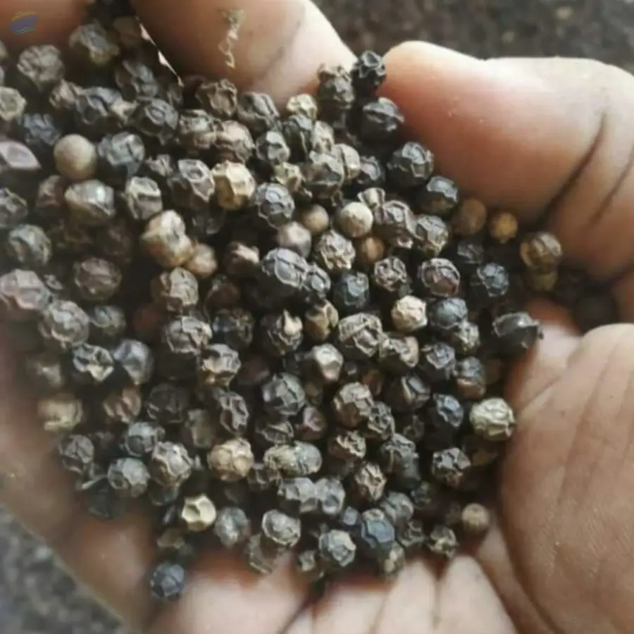 Black Pepper