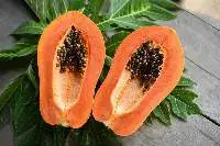 Papaya