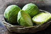 Cabbage