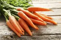 Carrot