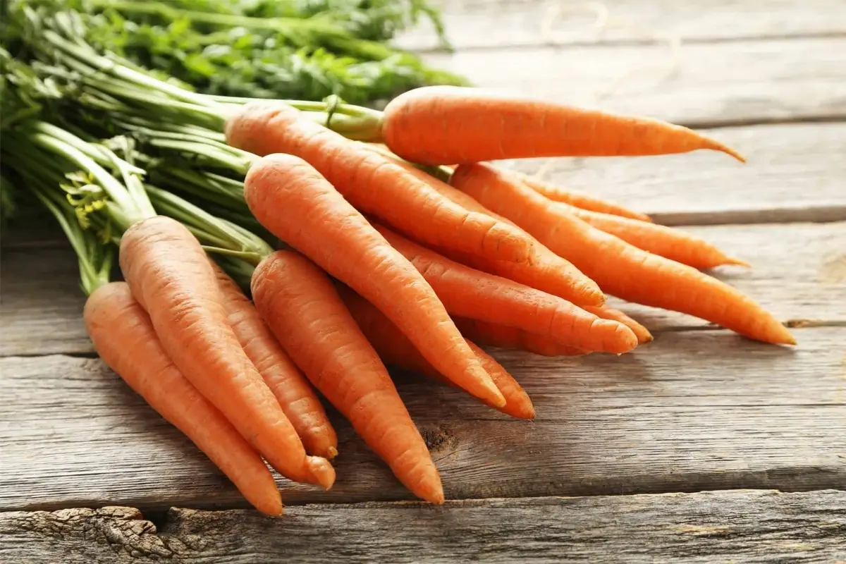 Carrot