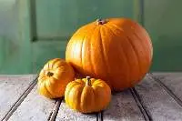 Pumpkin