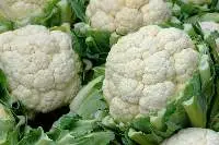 Cauliflower