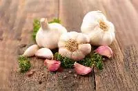Garlic