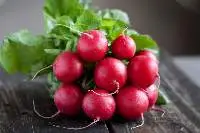 Radish