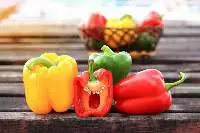 Capsicum