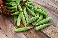 Lady Finger