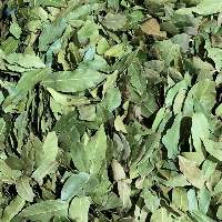 Laurel Leaves (Bay Leaves )