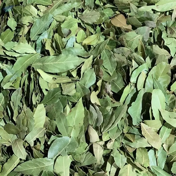 Laurel Leaves (Bay Leaves )
