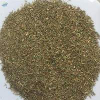 Thyme