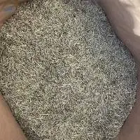 Rosemary