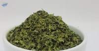 Cistus