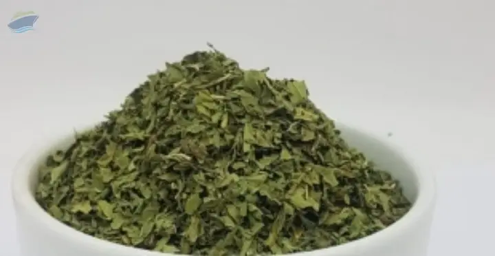 Cistus