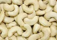 cashew nut w320
