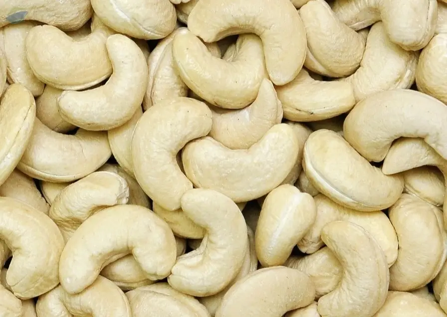 cashew nut w320