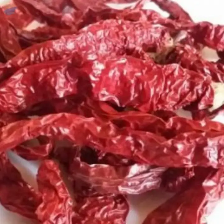 Byadagi Chilli