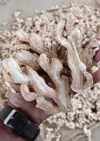 dry ginger
