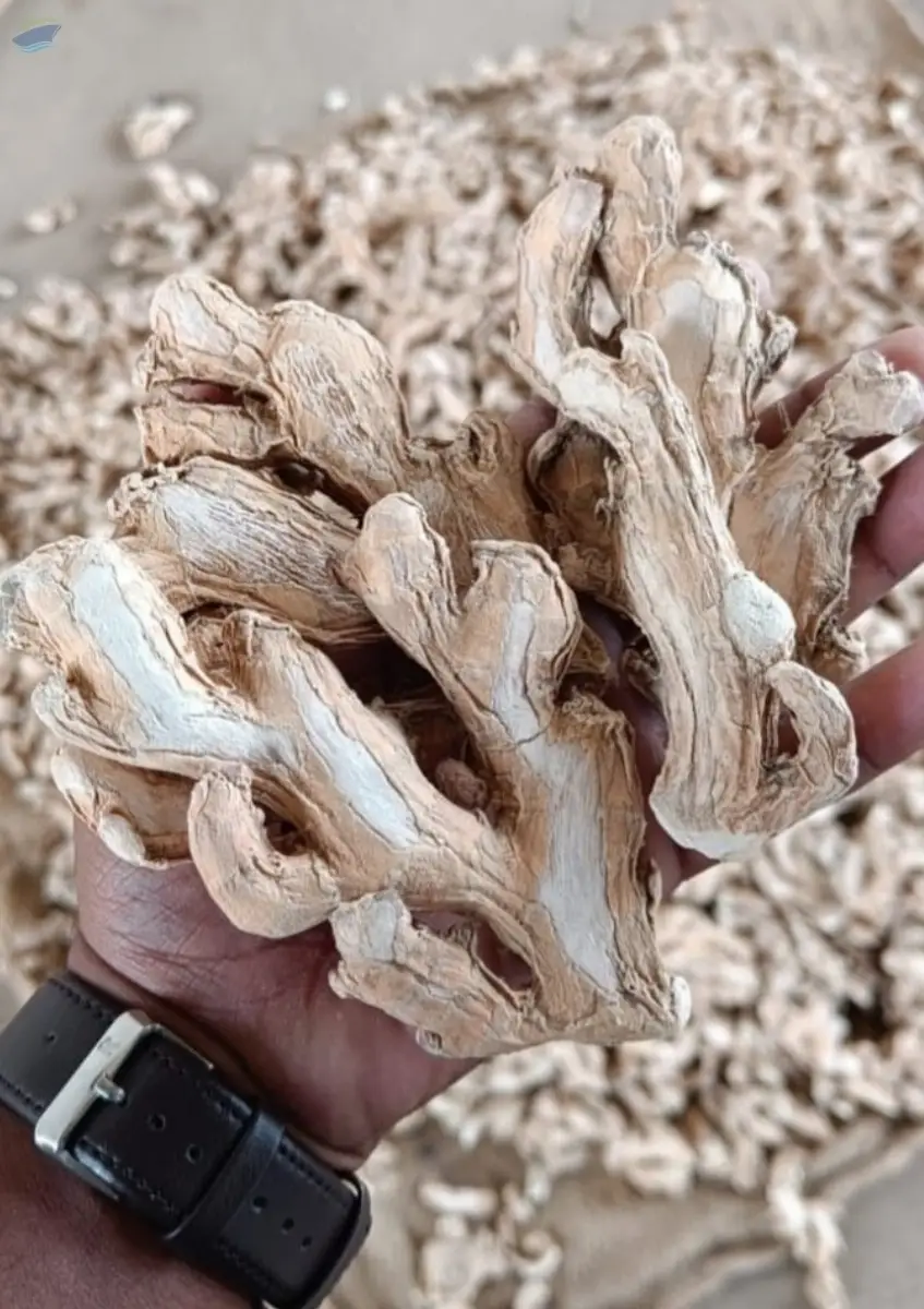 dry ginger