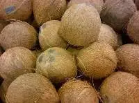 semi husked coconut