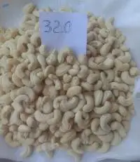 Cashew Nut  Plain W320