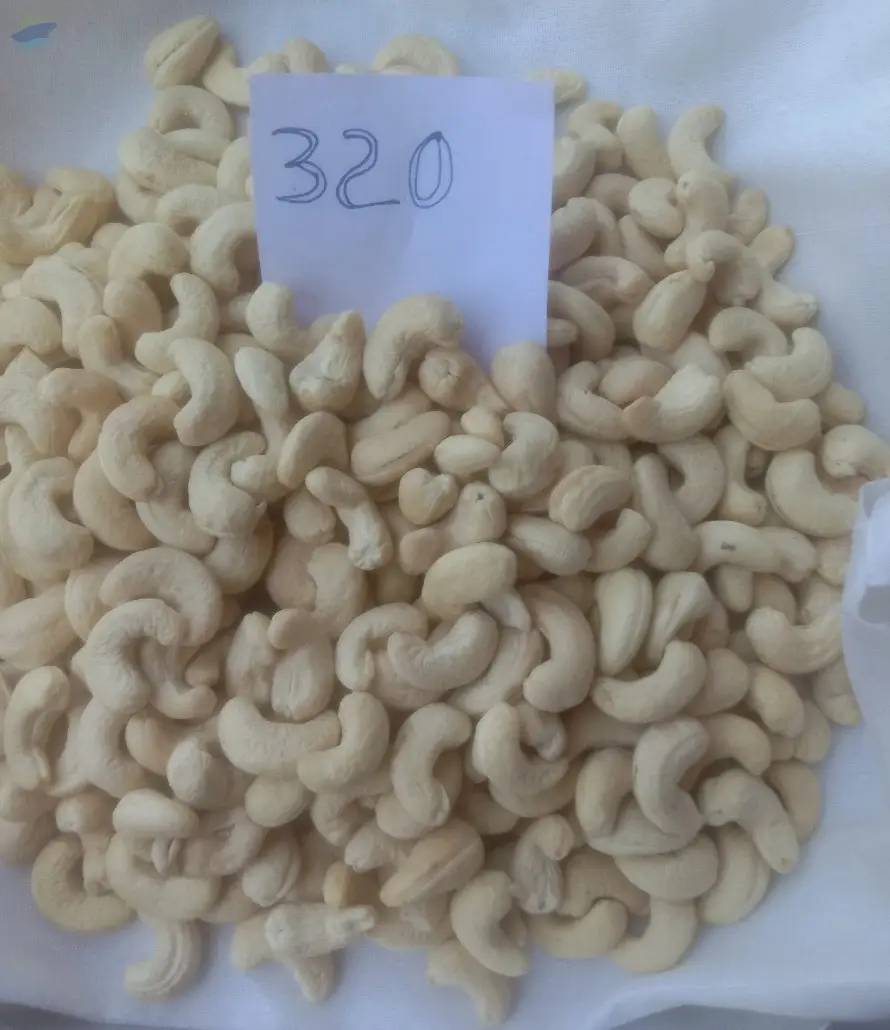 Cashew Nut  Plain W320