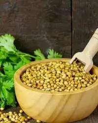 Coriander Seeds