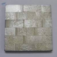 Resin Capiz Coaster