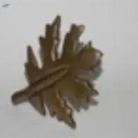 Shrub Antique Copper napkin Ring