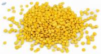 Whole Yellow Lentils