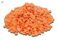 Split Red Lentils