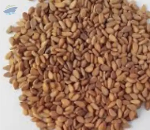 Brown Sesame Seeds