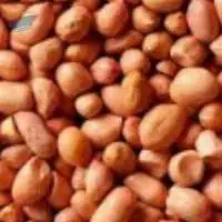 Peanuts