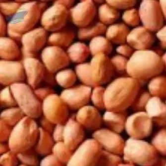 Peanuts