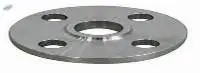 Stainless Steel Flanges
