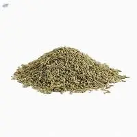 Fennel Seed