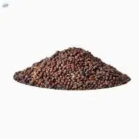 Mustard Seed